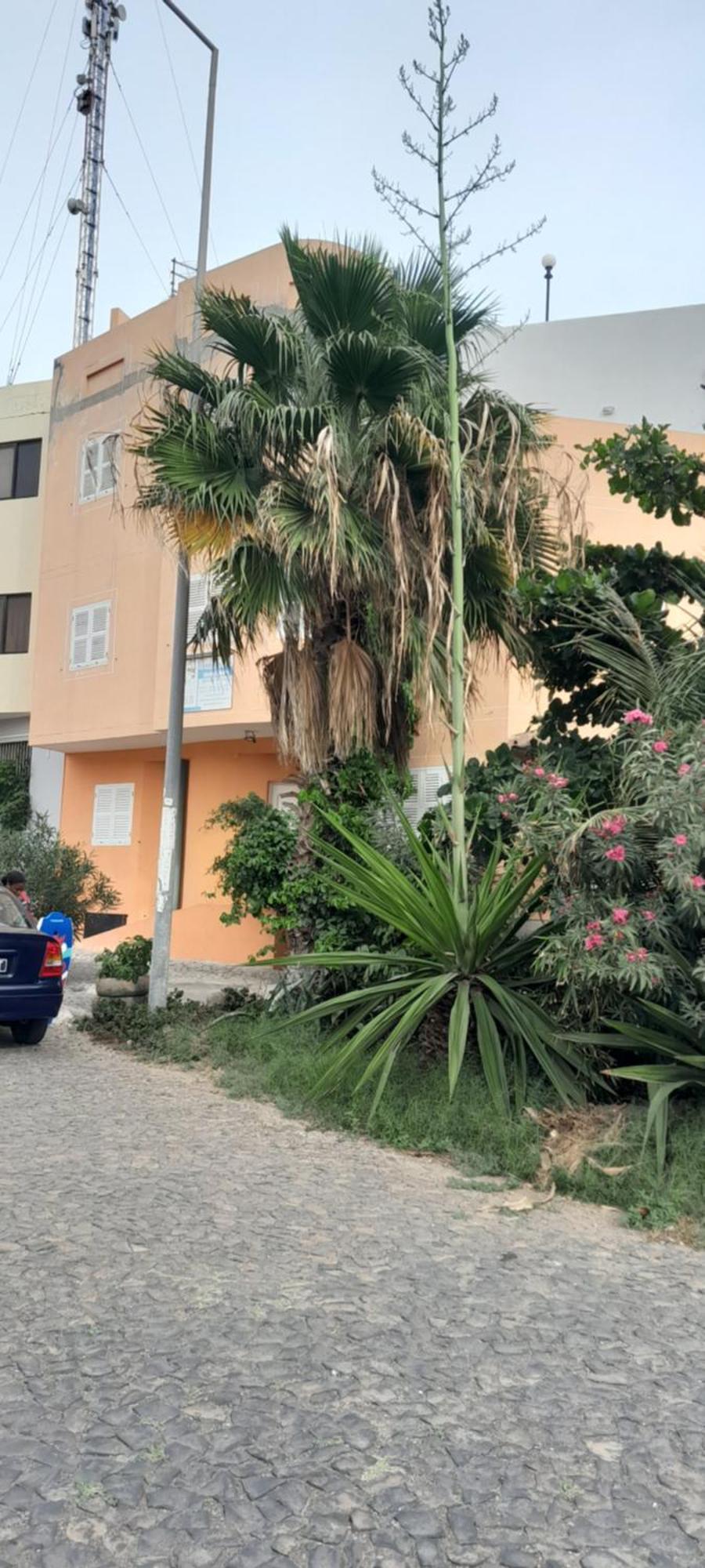 Laginha Beach Guest House Минделу Экстерьер фото
